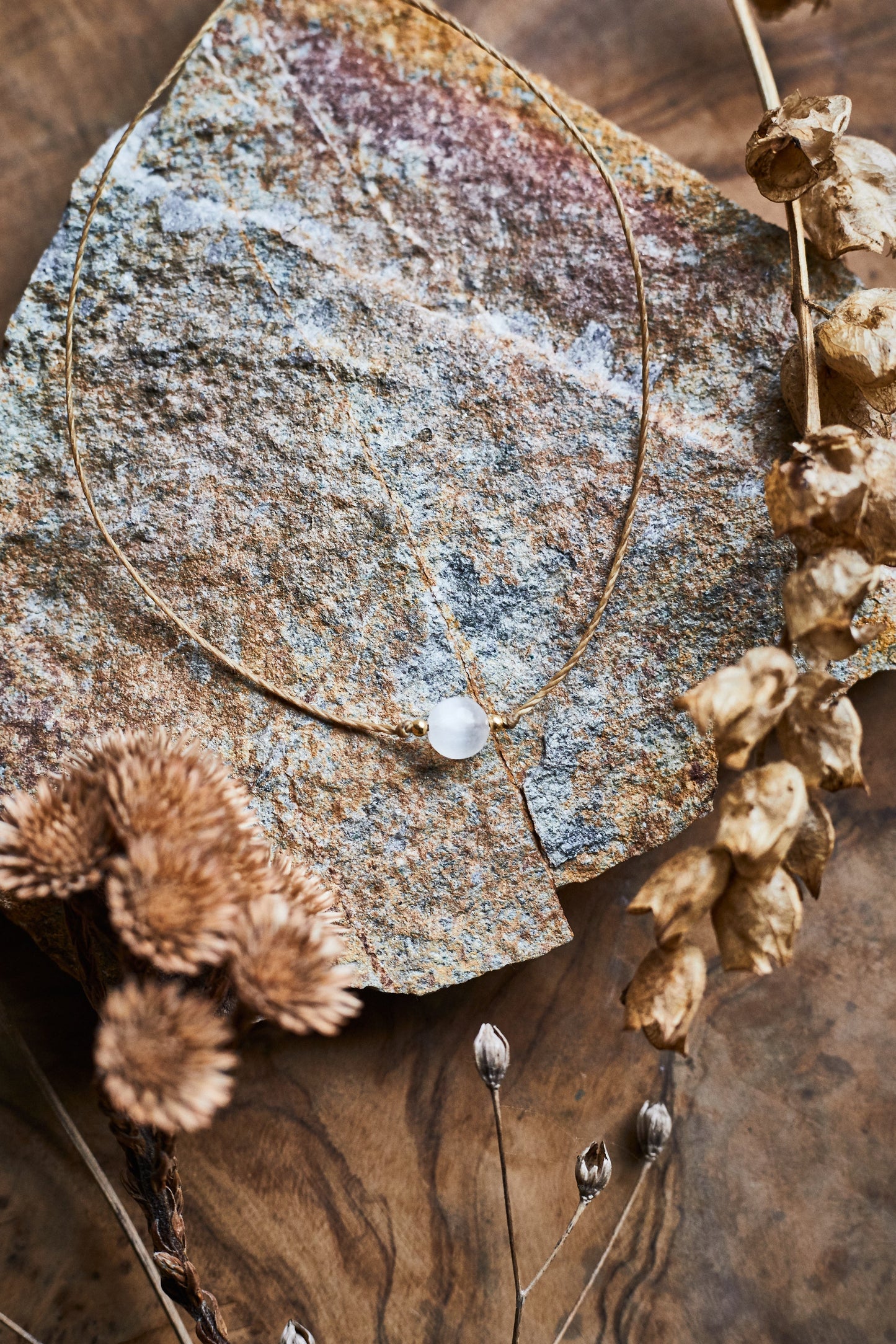 🎁 NEUJAHRES GESCHENK (100% off)